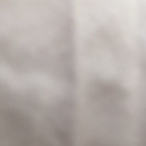 Meet your Posher, Rory